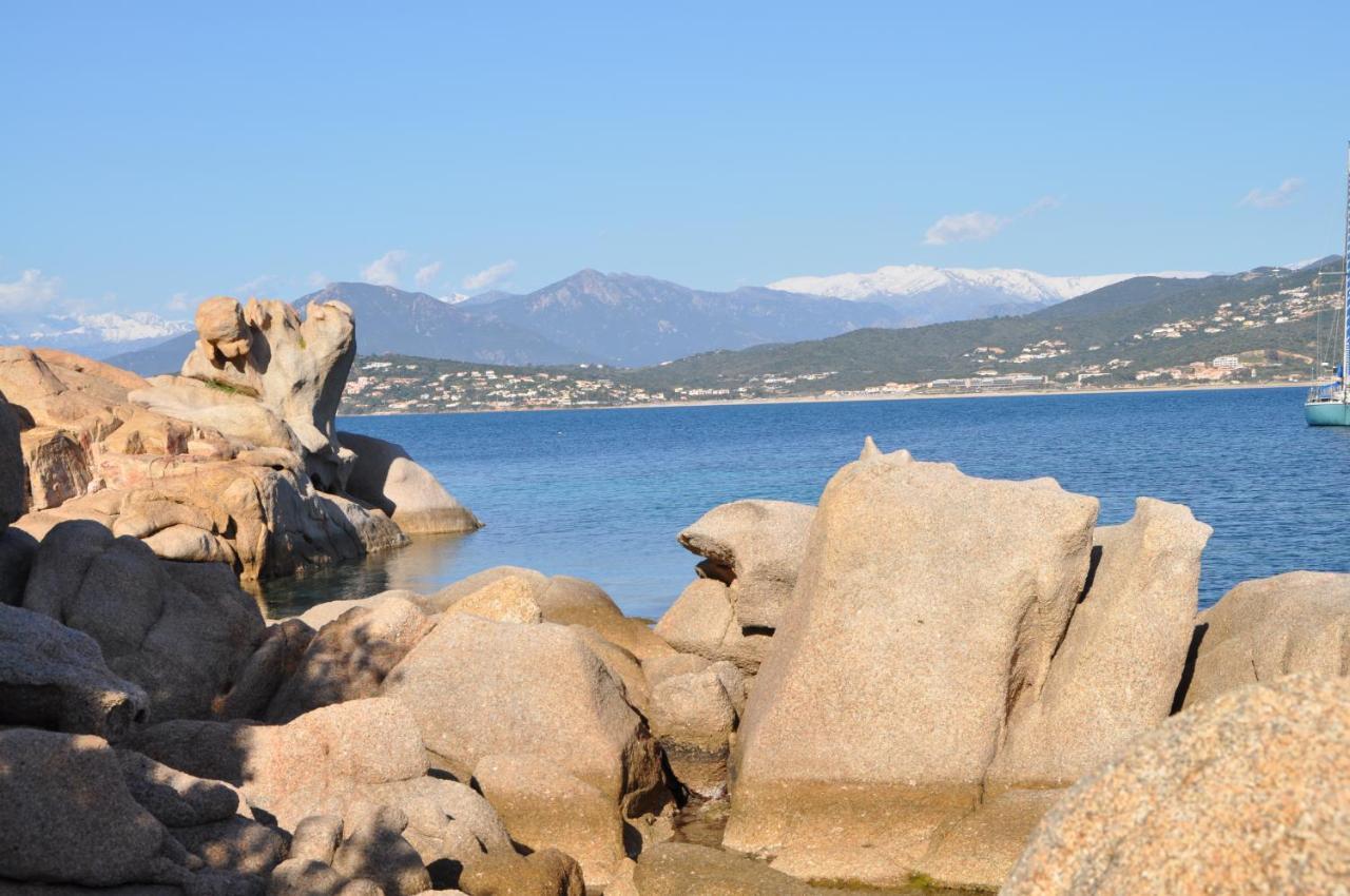 Appartement T2 Porticcio Vue Sur Mer エクステリア 写真
