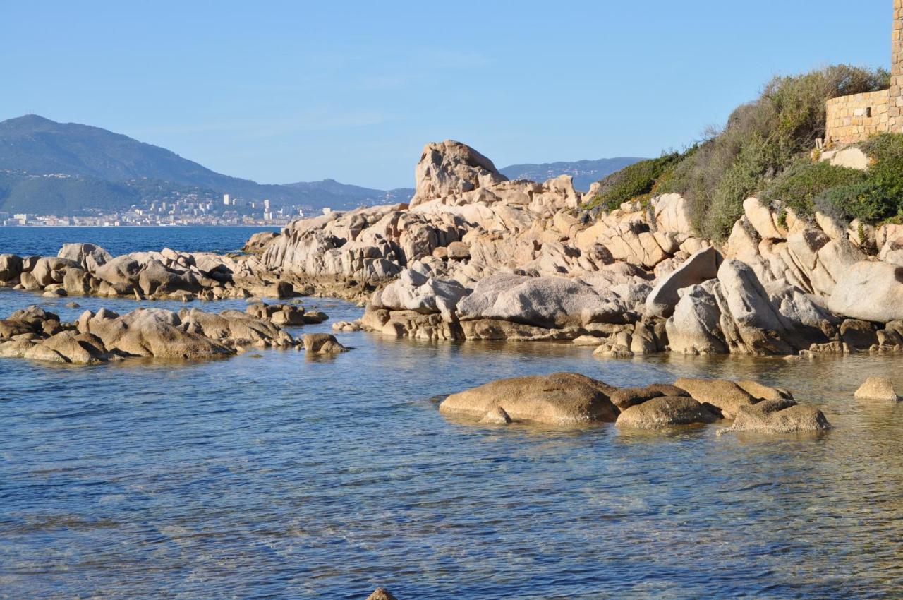 Appartement T2 Porticcio Vue Sur Mer エクステリア 写真
